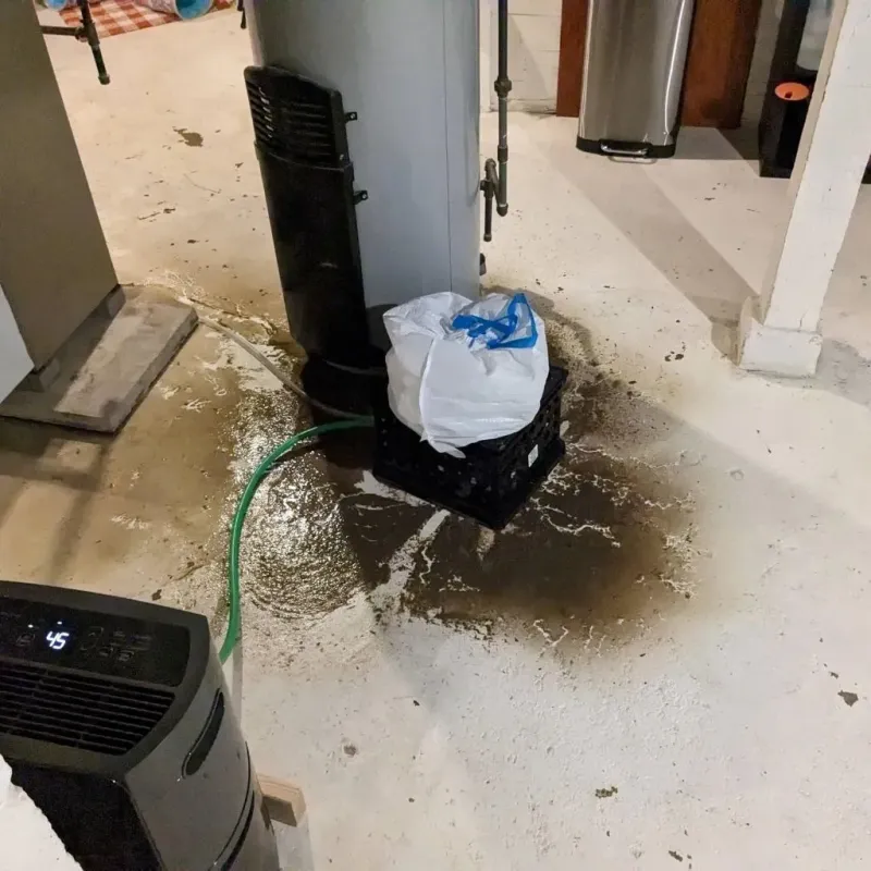 Sewage Backup Cleanup Service in Oakville, MO